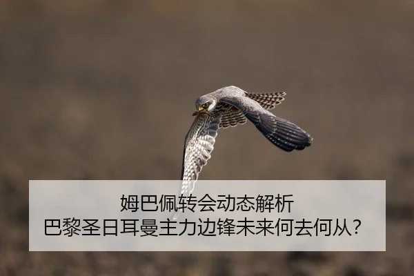 姆巴佩转会动态解析 巴黎圣日耳曼主力边锋未来何去何从？